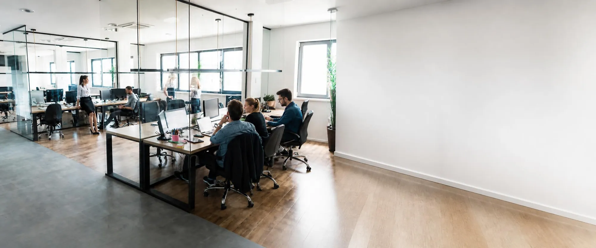 Team working in a modern office
